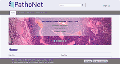 Desktop Screenshot of pathonet.com